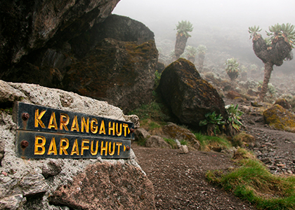 Bestige Mount Kilimanjaro i Tanzania