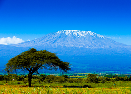 Mount Kilimanjaro udsigt fra savannen