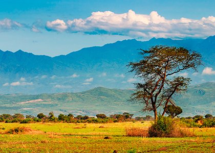 Rwenzori bjergene på grænsen mellem Uganda og Congo